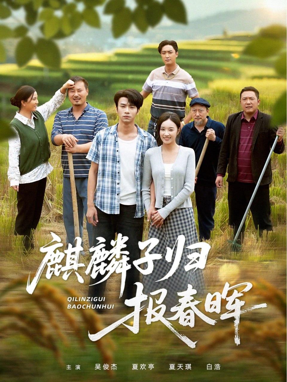 麒麟子归报春晖封面