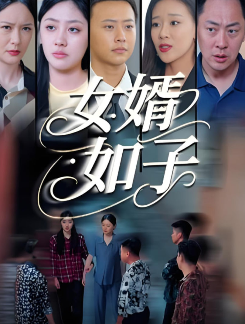 女婿如子封面