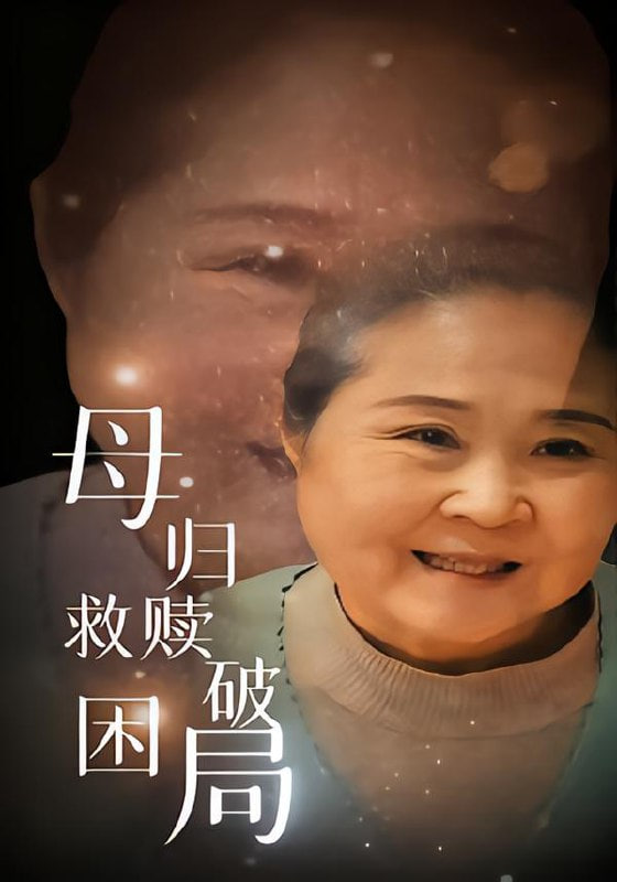 母归救赎破困局封面