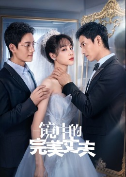 镜中的完美丈夫封面