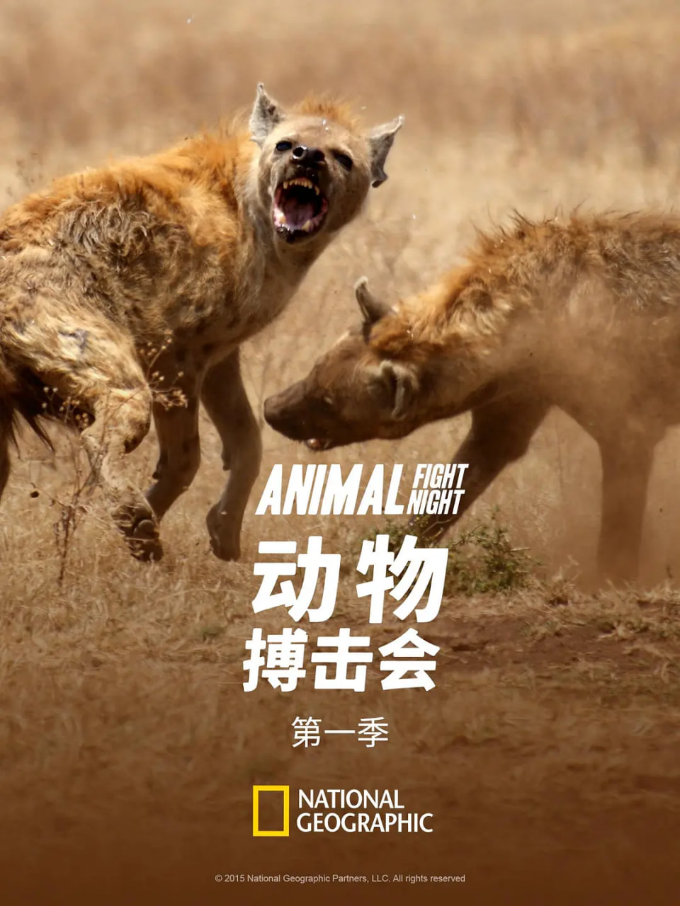 动物搏击会 第一季封面