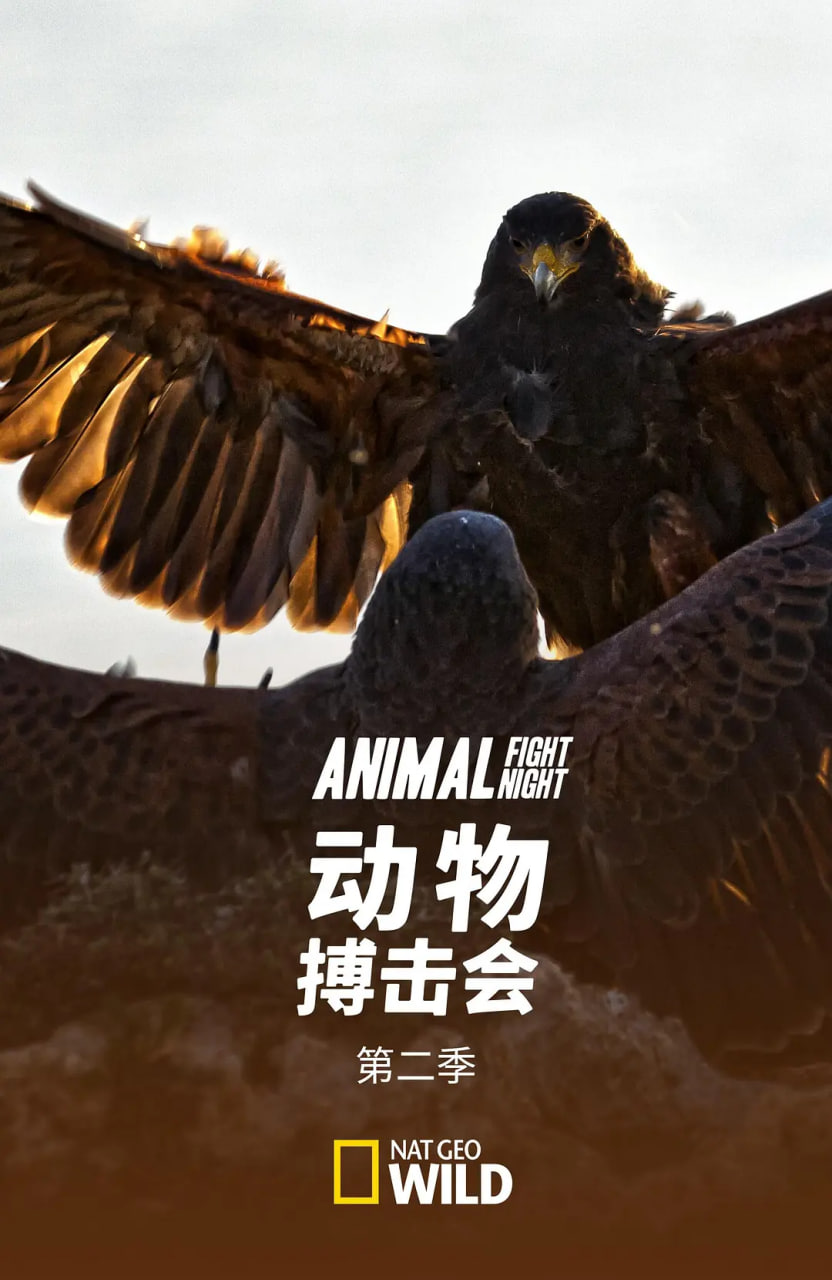 动物搏击会 第二季封面