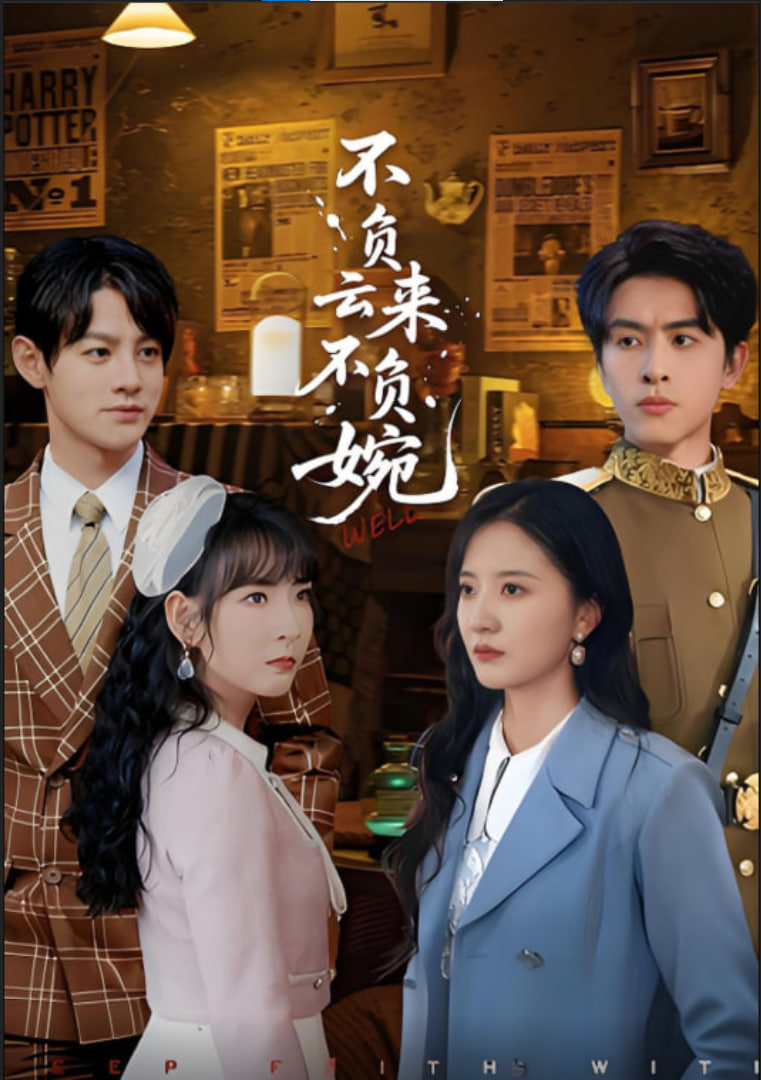 不负云来不负婉封面