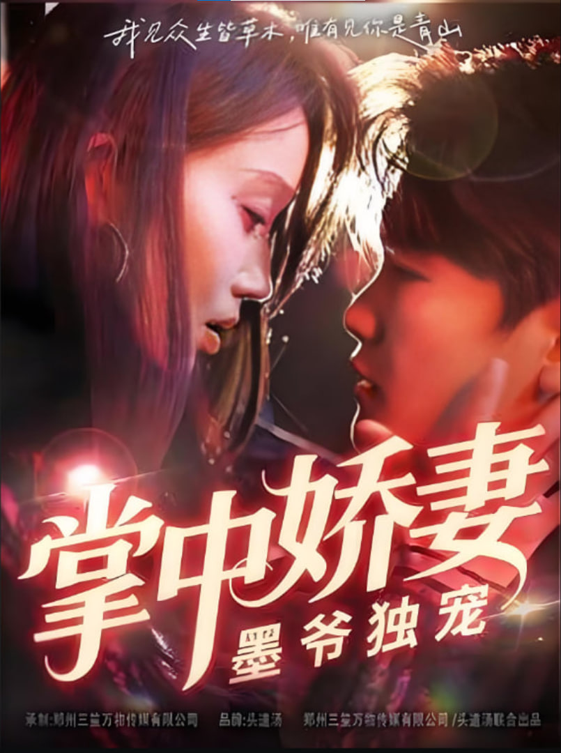 掌中娇妻墨爷独宠封面