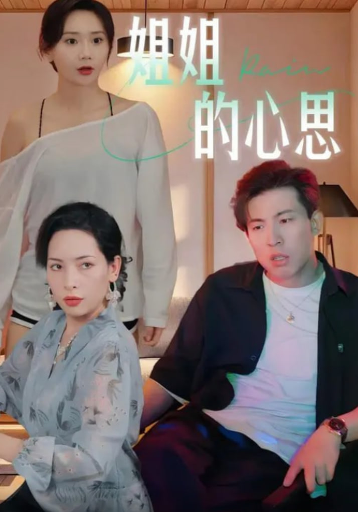 姐姐的心思封面