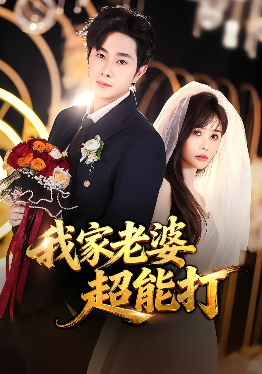 我家老婆超能打封面