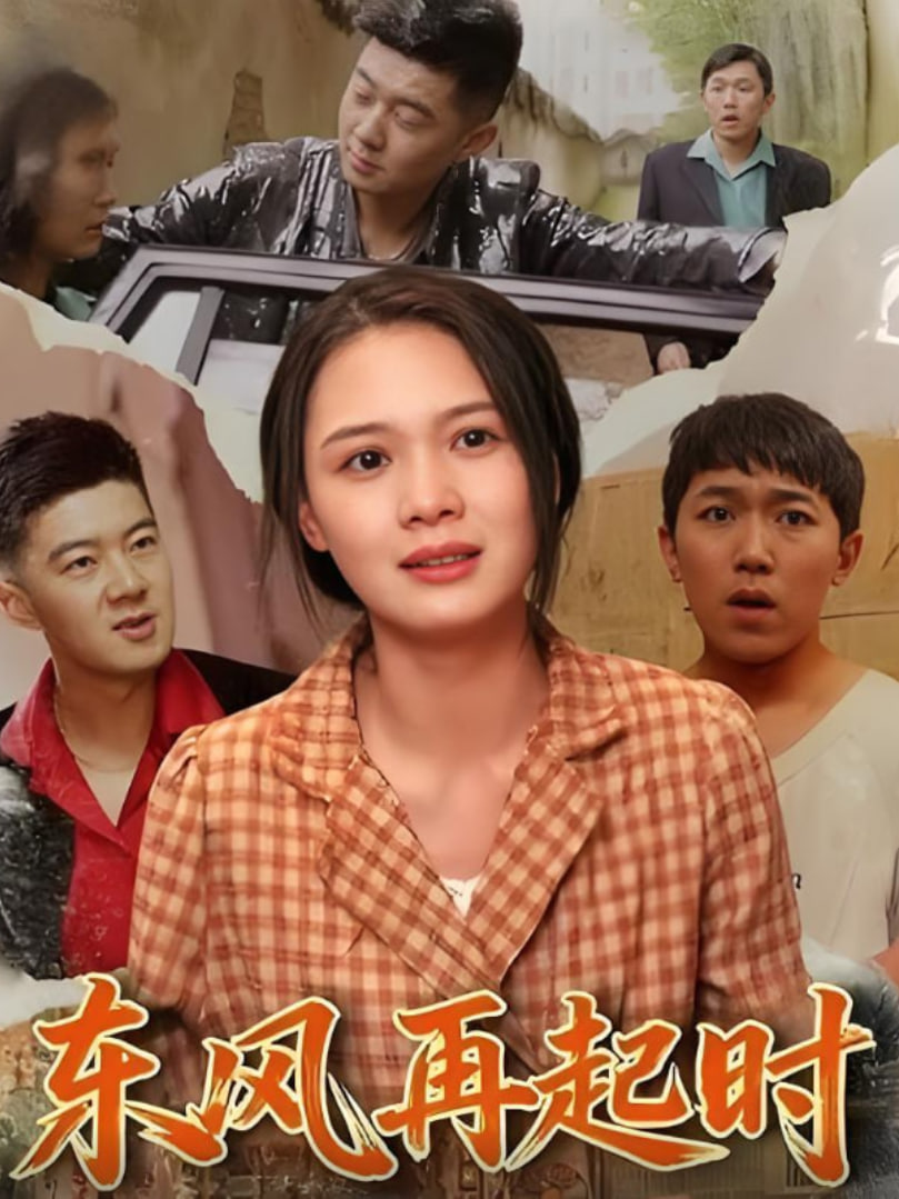 东风再起时封面