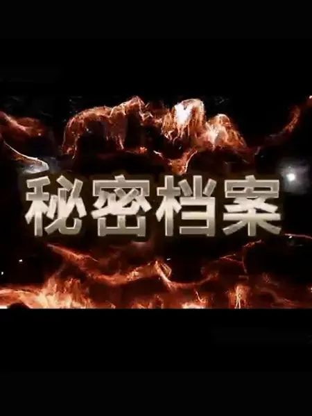 秘密档案封面