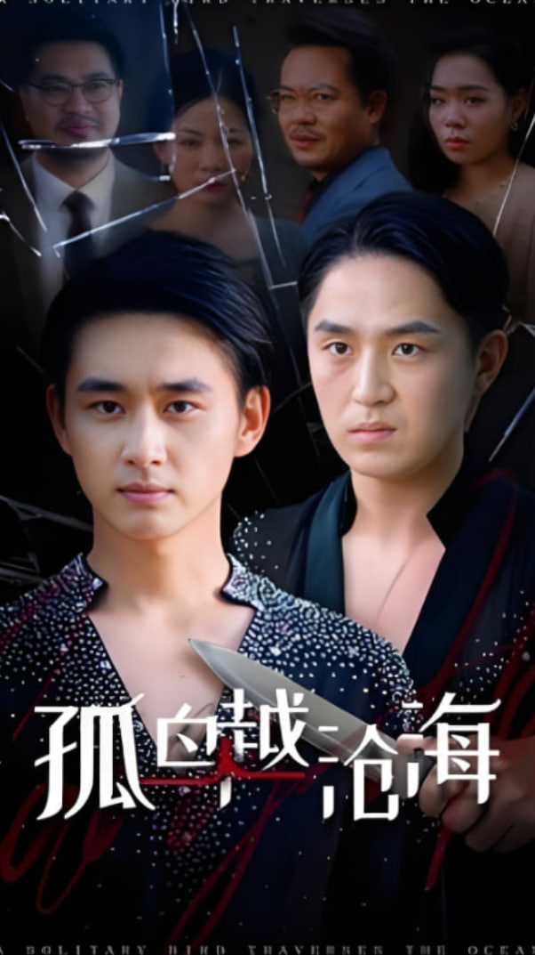 孤鸟越沧海封面