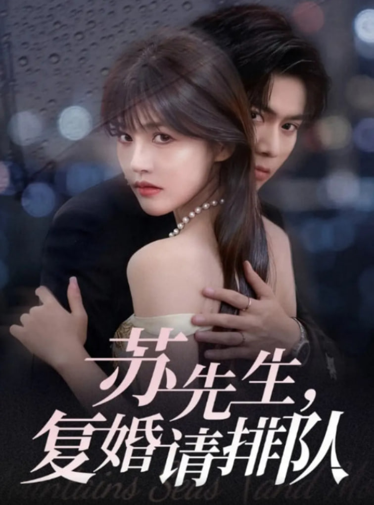 苏先生，复婚请排队封面