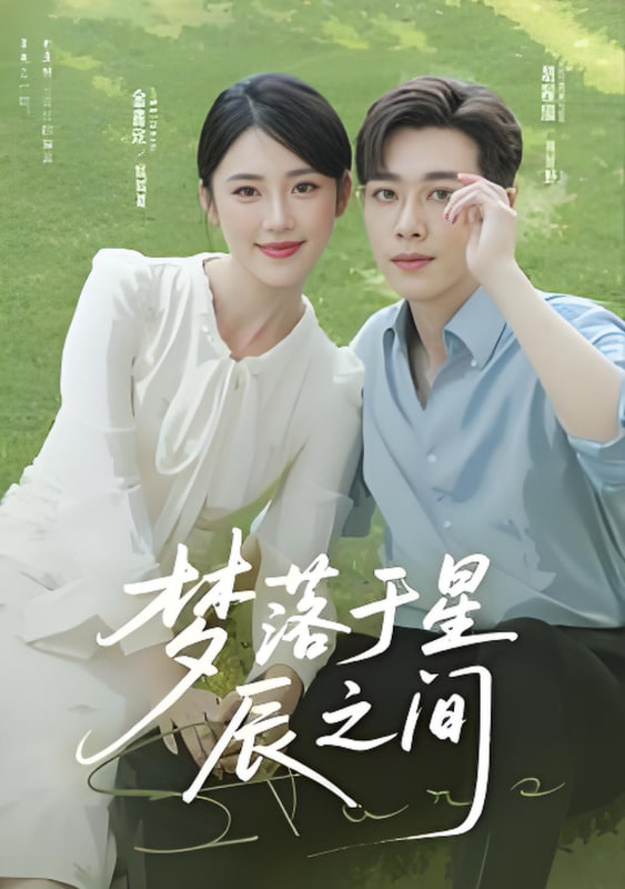 梦落于星辰之间封面