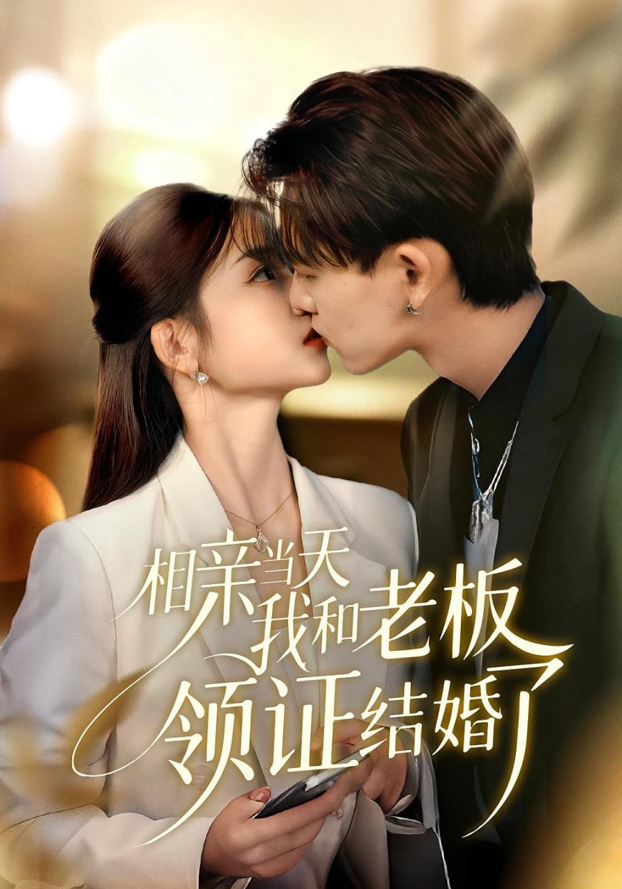 相亲当天我和老板领证结婚了封面