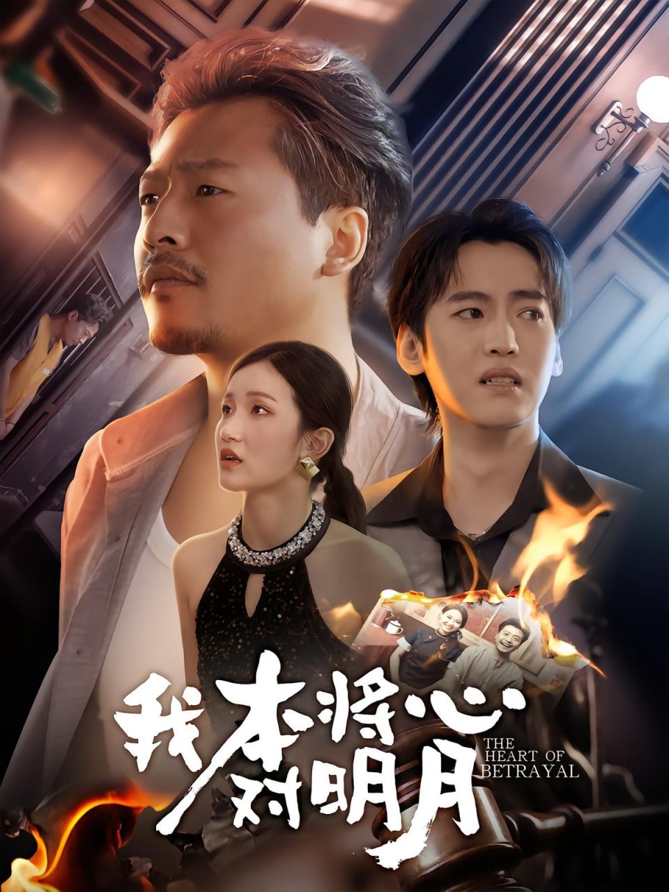 我本将心向明月封面