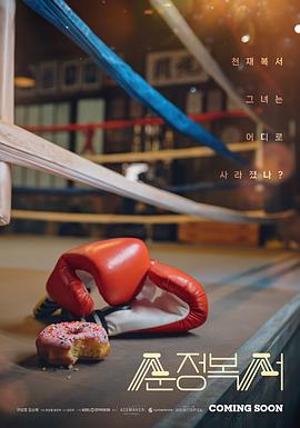 纯情拳击手封面