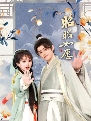 昭昭如愿封面
