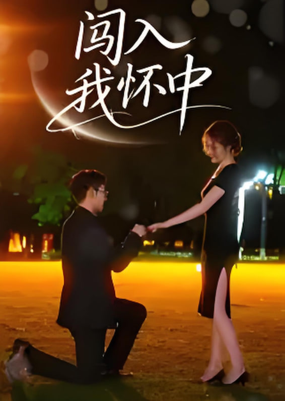 闯入我怀中封面