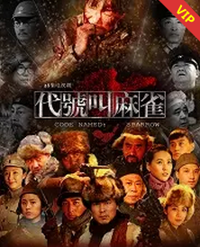 代号叫麻雀封面