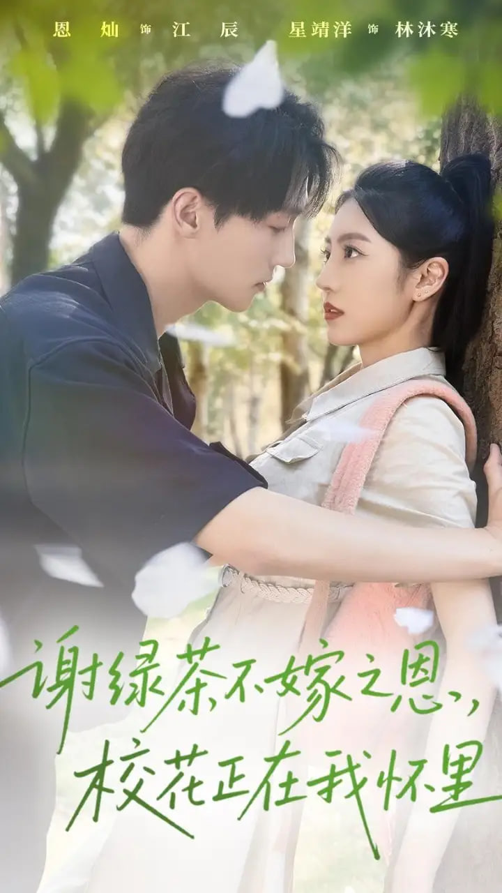 谢绿茶不嫁之恩校花正在我怀里封面
