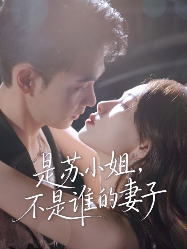 是苏小姐不是谁的妻子封面