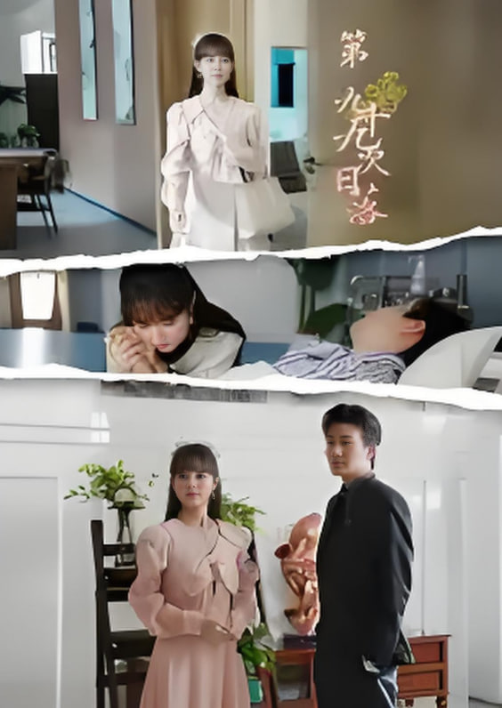 第九十九次日落封面