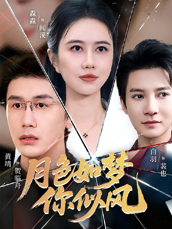 月色如梦你似风封面