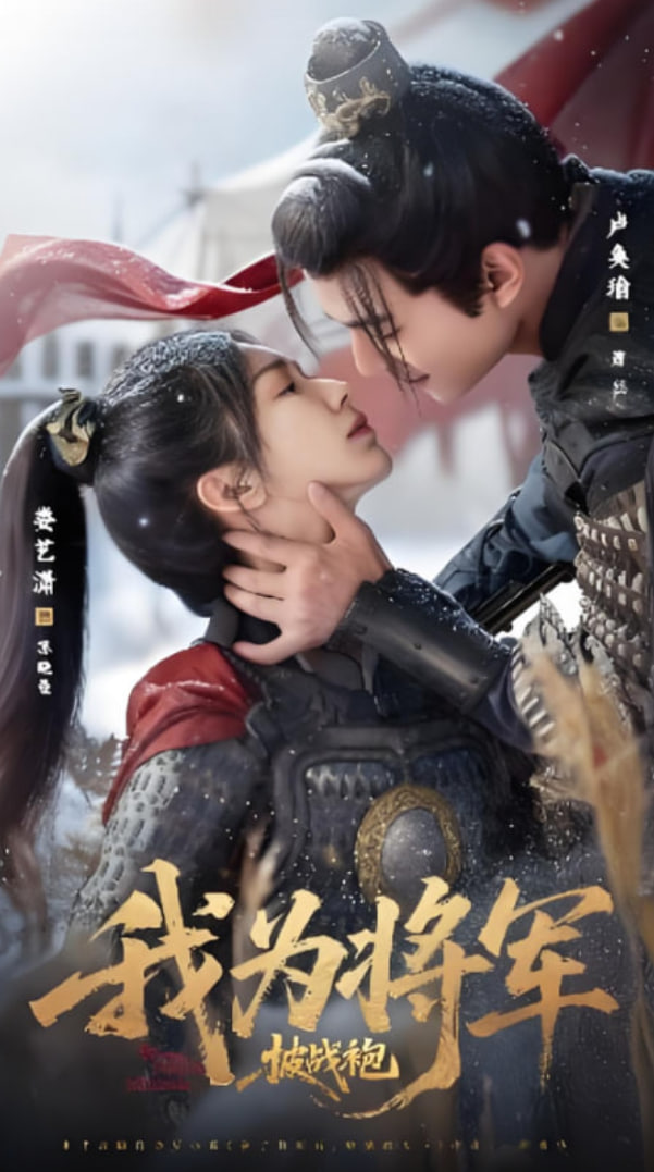 我为将军披战袍封面
