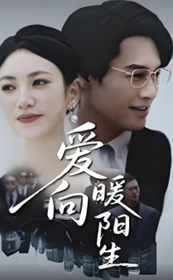 爱向暖阳生封面
