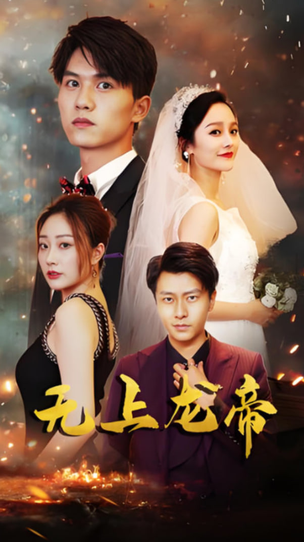 无上龙帝 2025封面