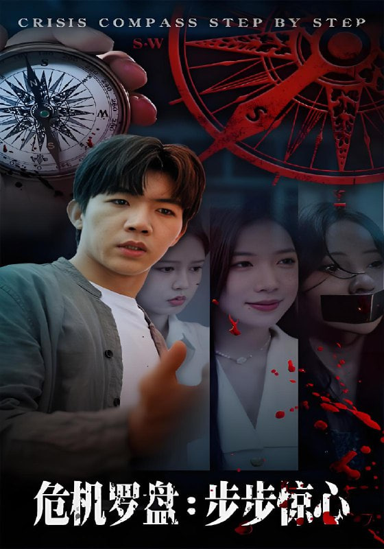 危机罗盘：步步惊魂封面