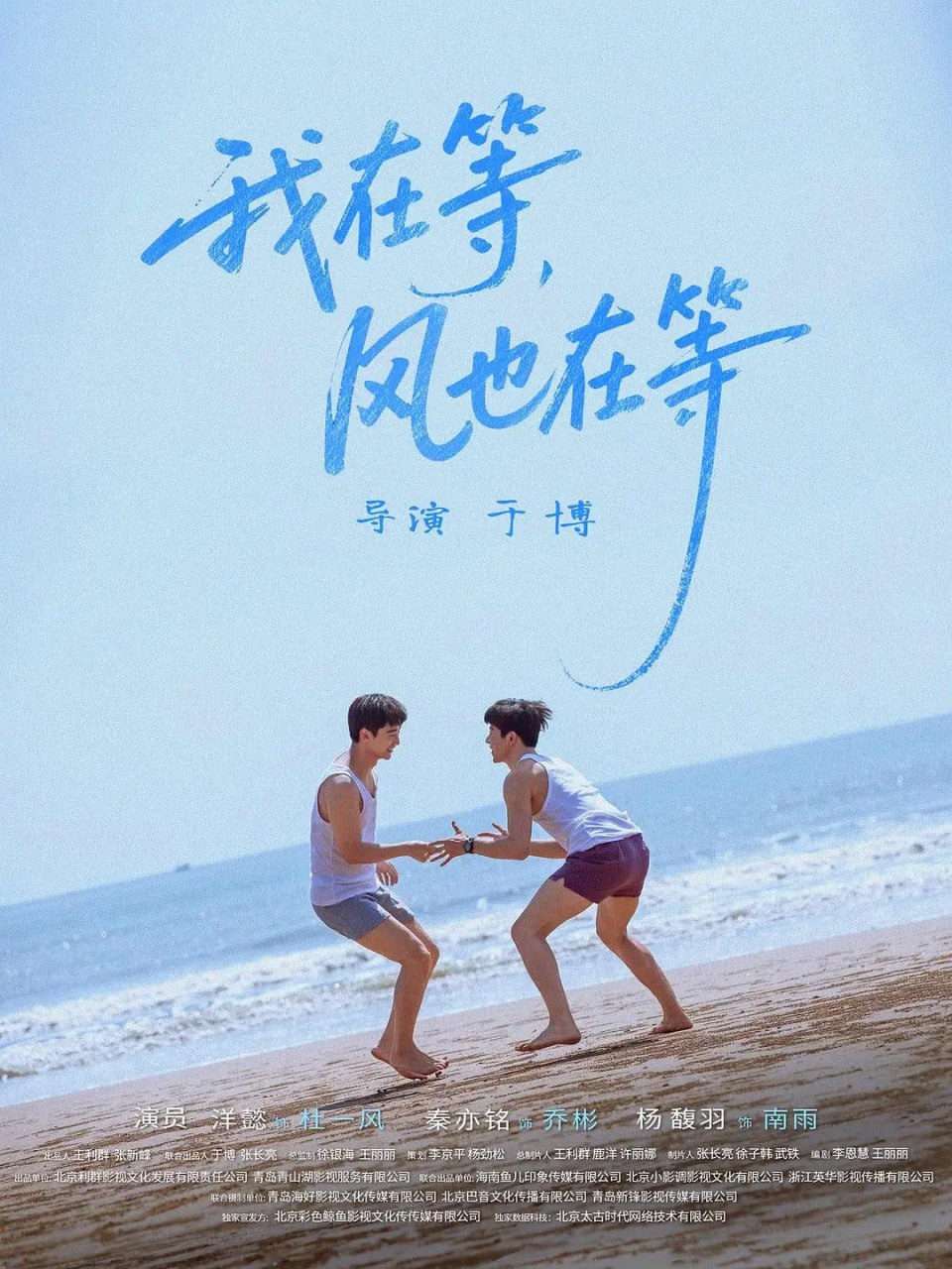 我在等，风也在等封面