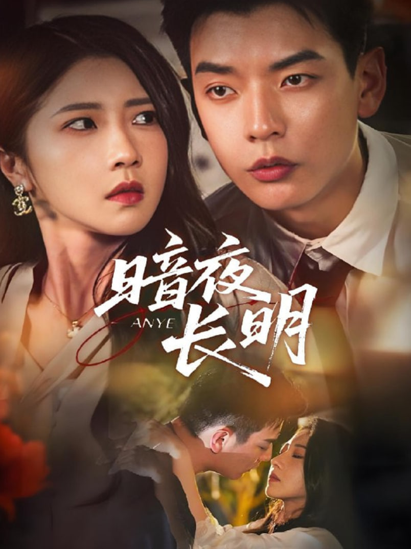 暗夜长明封面