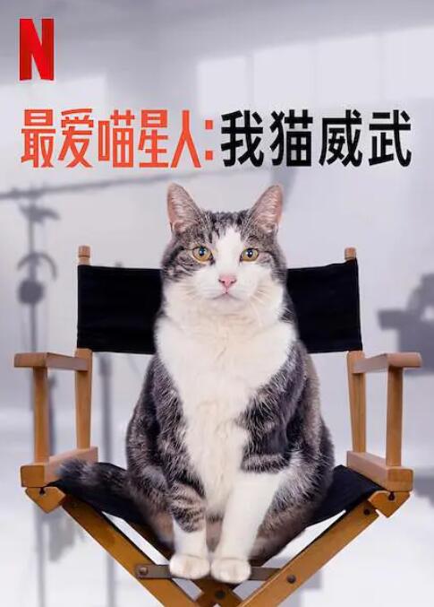 最爱喵星人：我猫威武封面