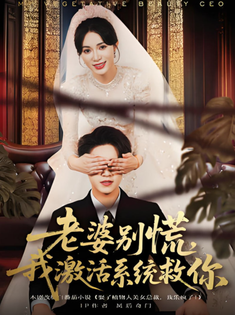 老婆别慌，我激活系统救你封面