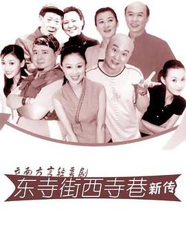 东寺街西寺巷新传封面