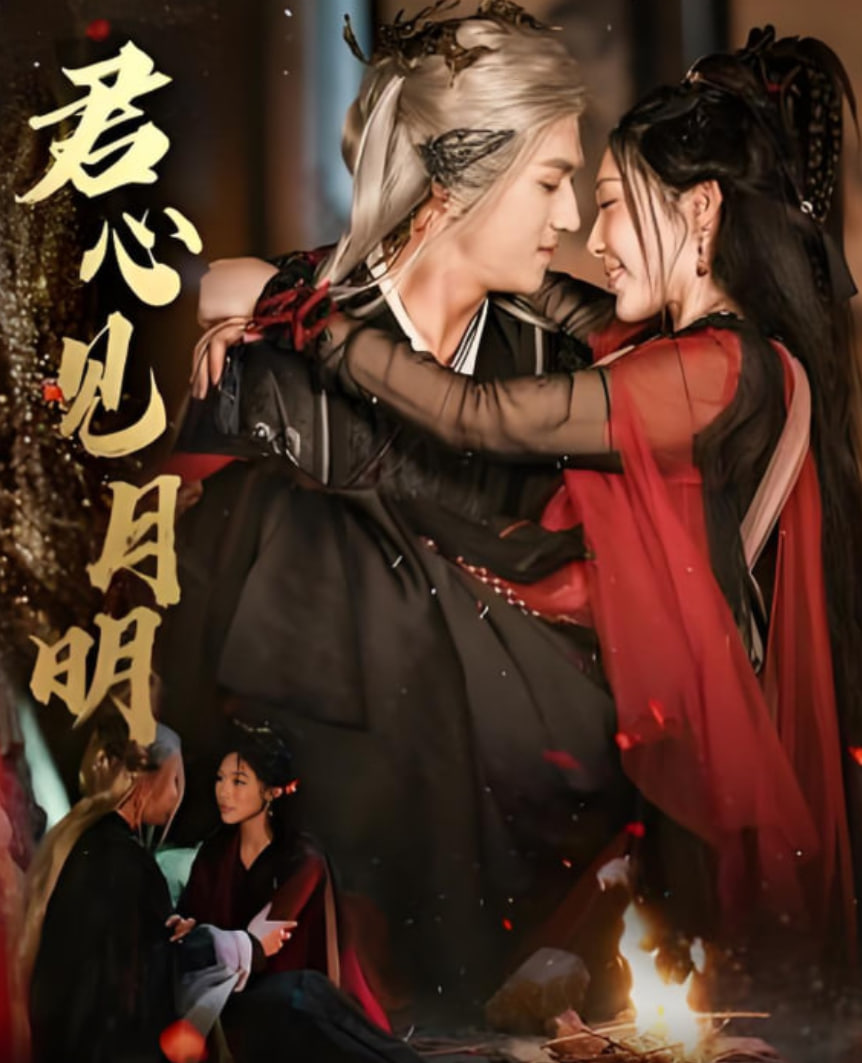 君心见月明封面