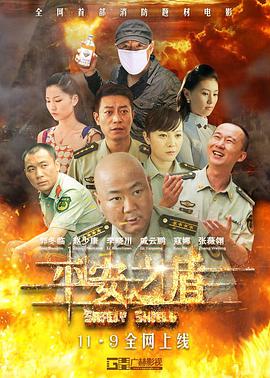 平安之盾封面