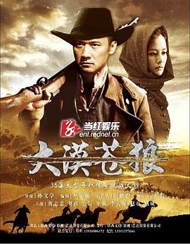 大漠苍狼封面