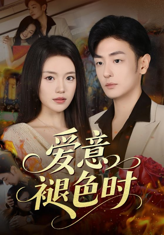 爱意褪色时封面