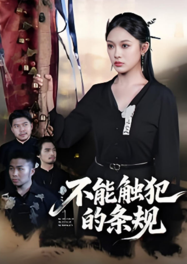 不能触犯的条规封面