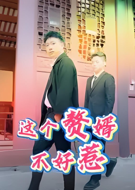 这个赘婿不好惹封面