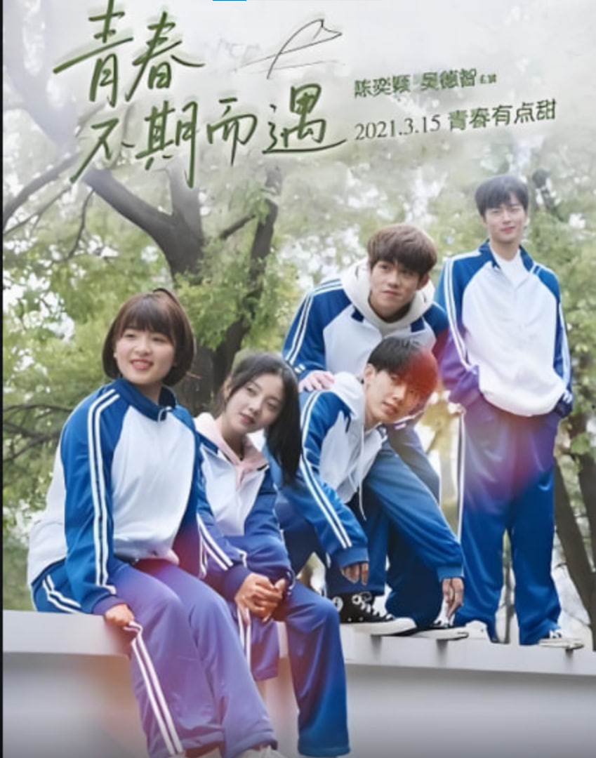 青春不期而遇封面