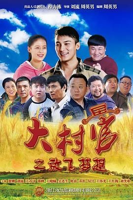 大村官之放飞梦想封面