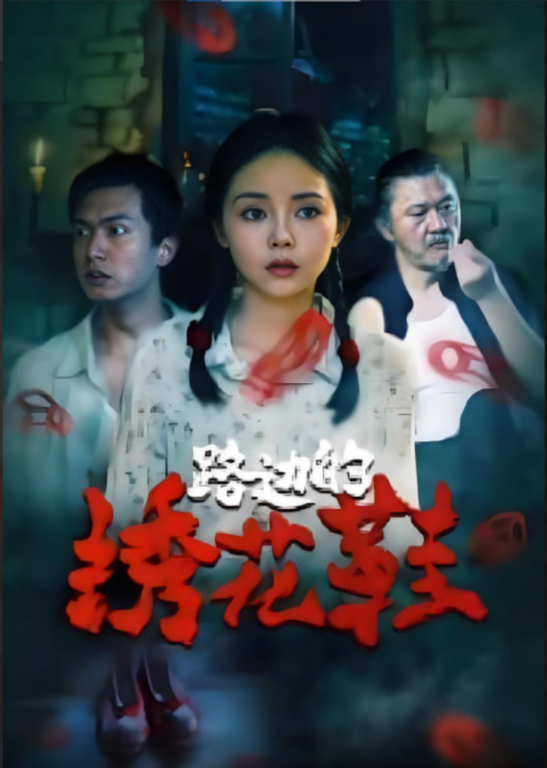 路边的绣花鞋封面