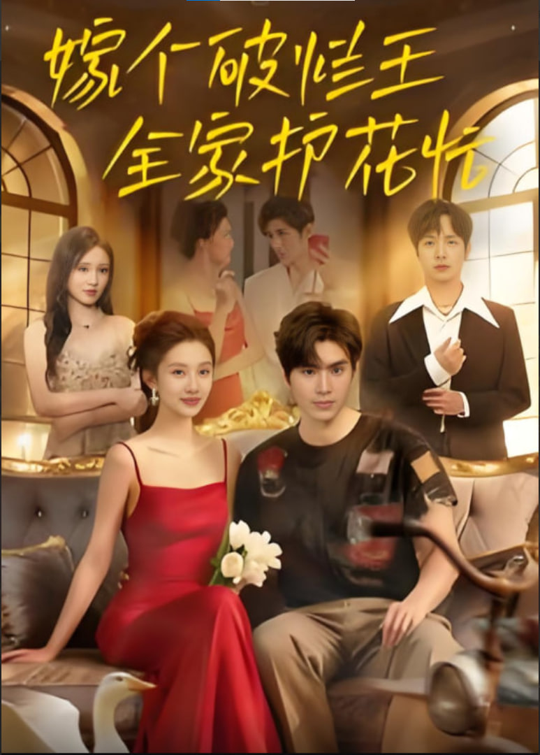 嫁个破烂王，全家护花忙封面