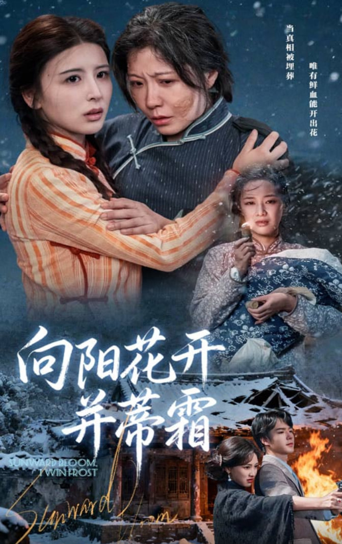 向阳花开并蒂霜封面