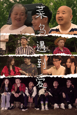 菜鸟遇到爱封面