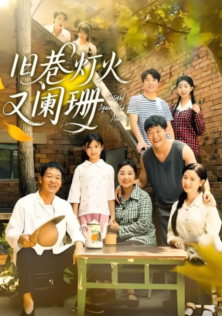 旧巷灯火又阑珊封面