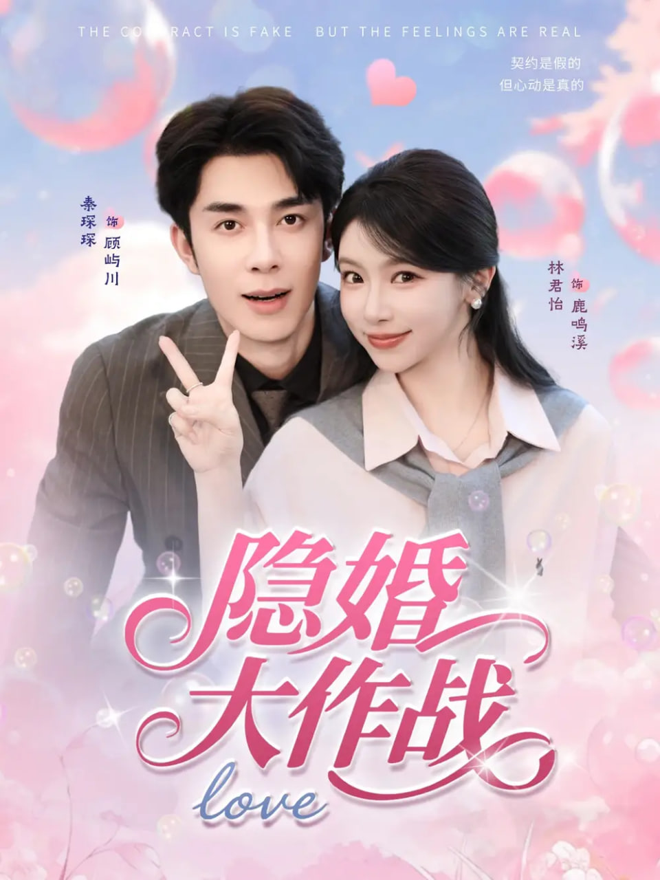隐婚大作战封面