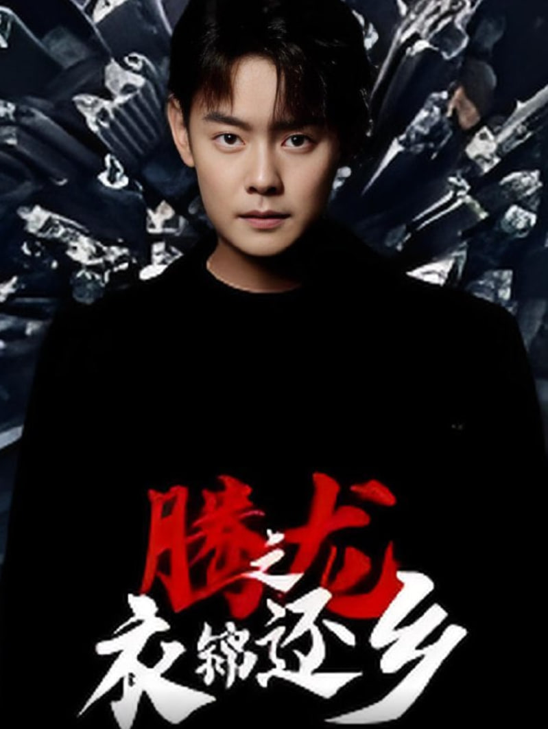 腾龙之衣锦还乡封面