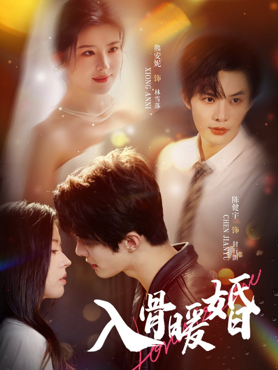入骨暖婚封面